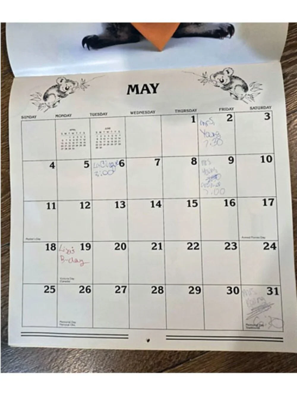 Qantas Sydney the Koala Calendar 1986 Vintage 80s Australia Airline Art Cute!